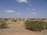 Krajina Marsabit severne Kenya 2014 Christian DSC00894.jpg